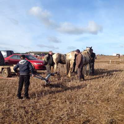 ploughing