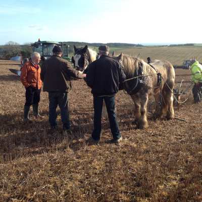 ploughing