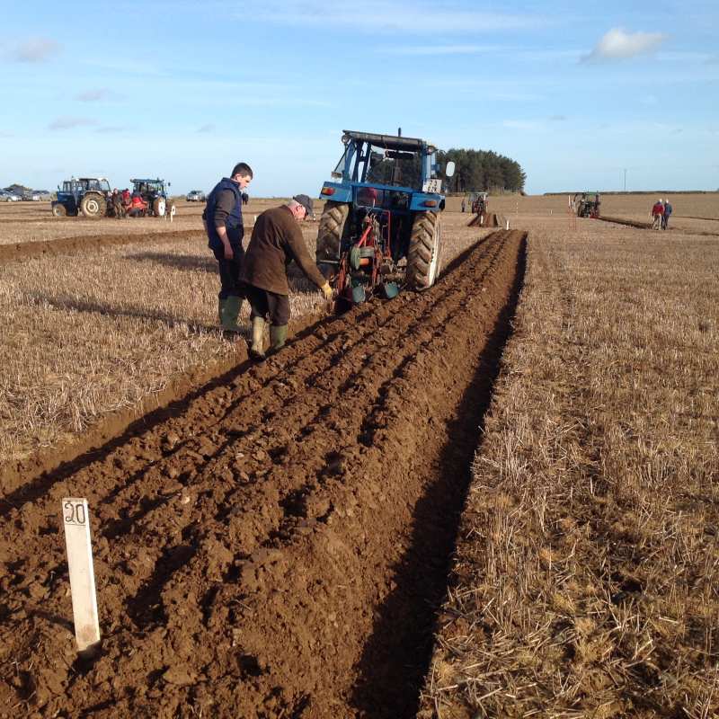 ploughing