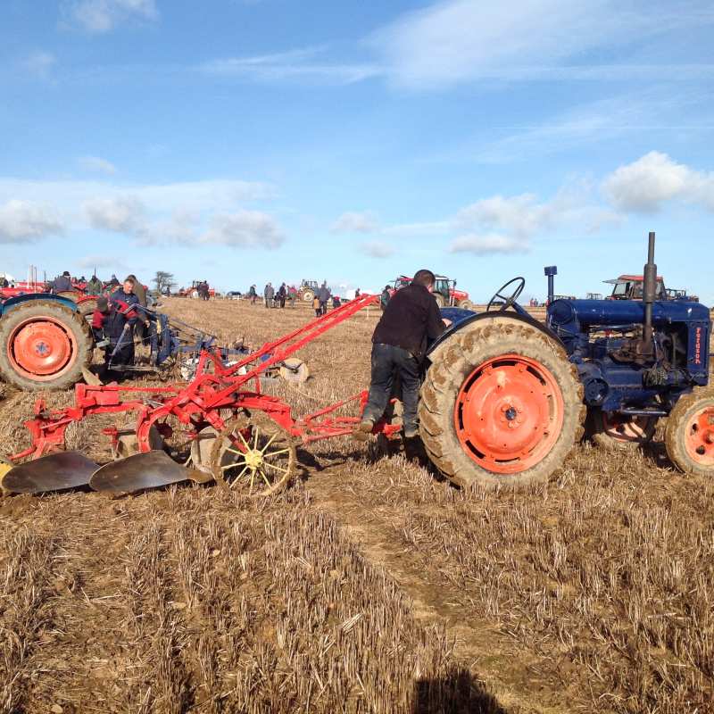 ploughing